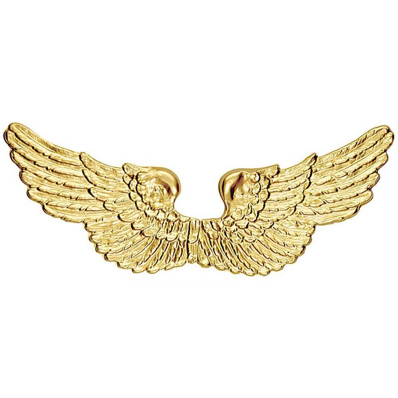 Golden angel wings