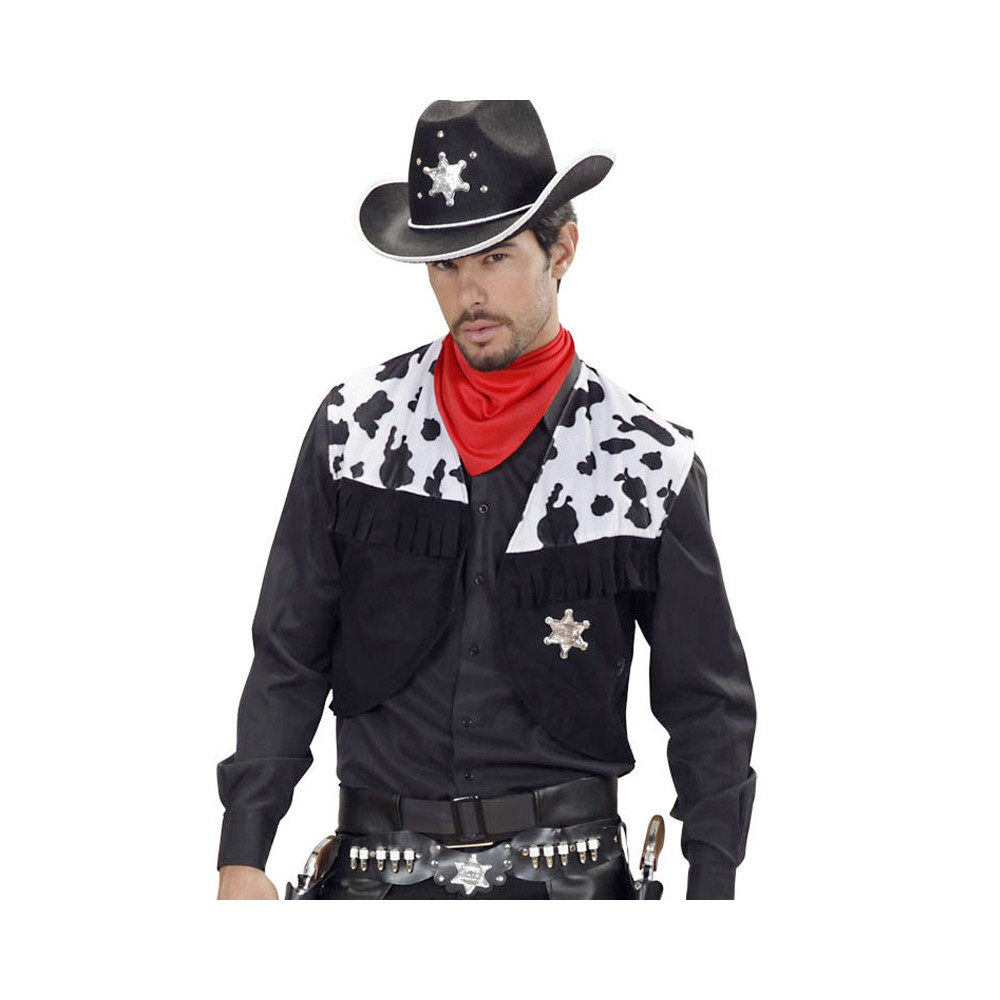 ▷ Déguisement Cowboy Rodéo pour Garçon
